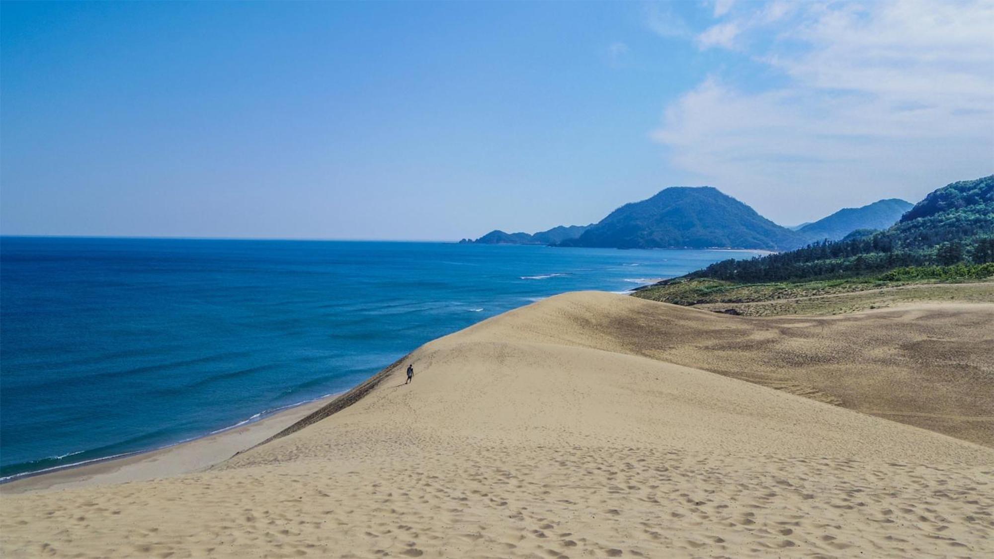 Toyoko Inn Tottori Eki Minami Guchi Kültér fotó